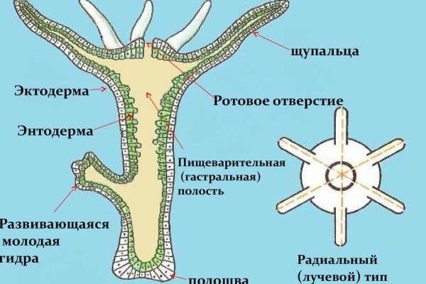 Кракен маркет даркент только через тор