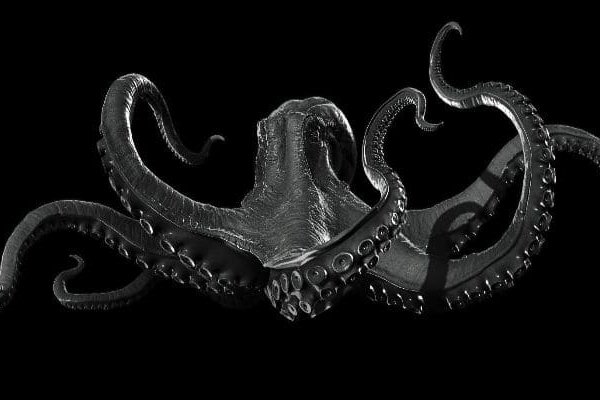 Kraken darknet marketplace